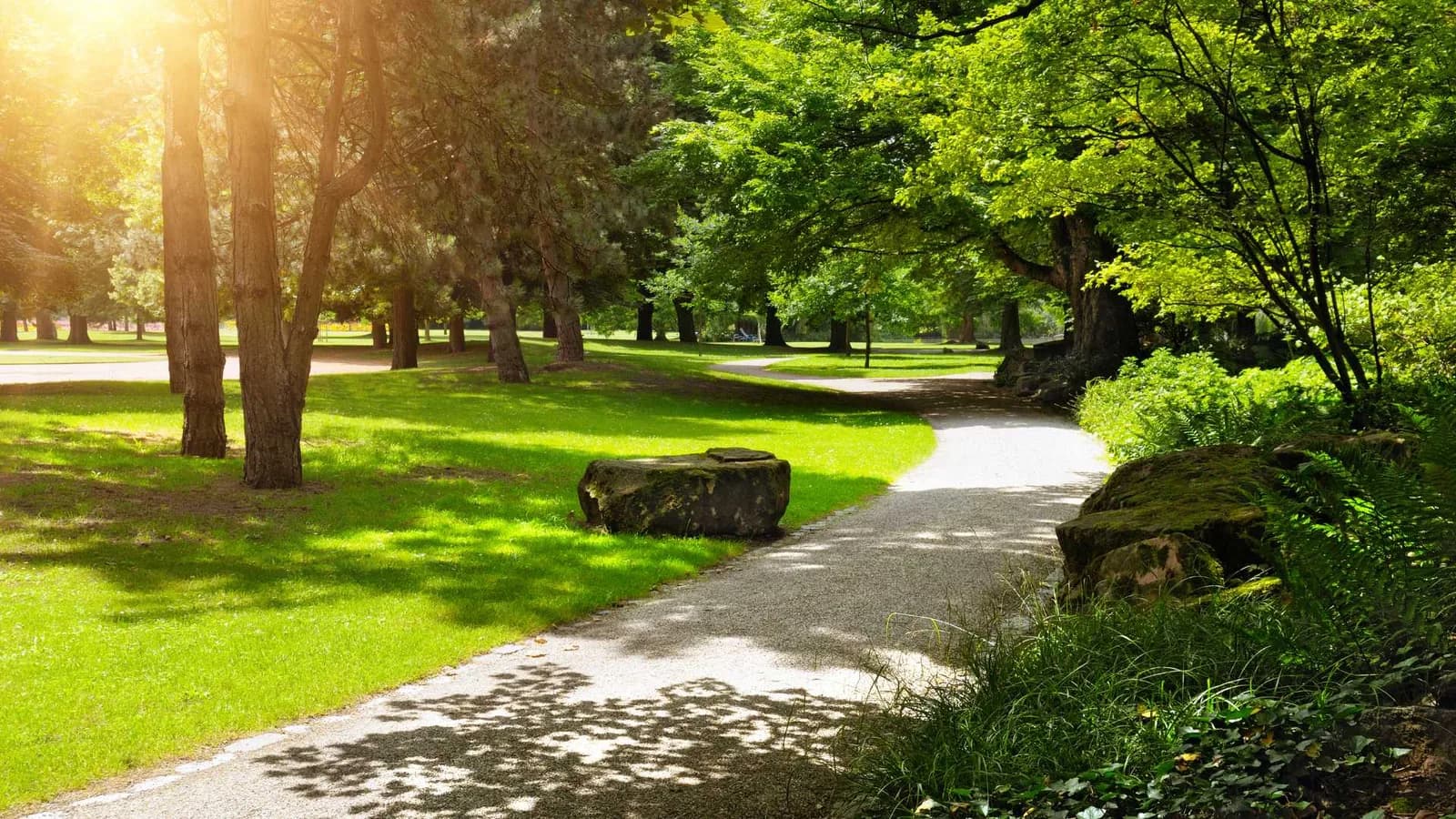 Neighborhood park near ADU