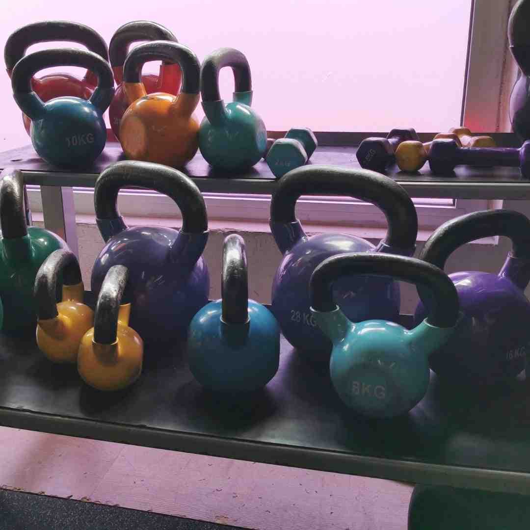 Weights for backyard gym