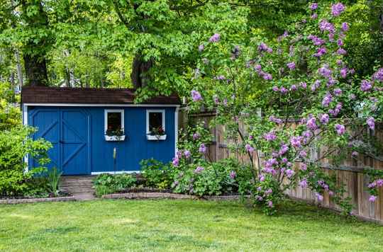 blue she shed in backyard