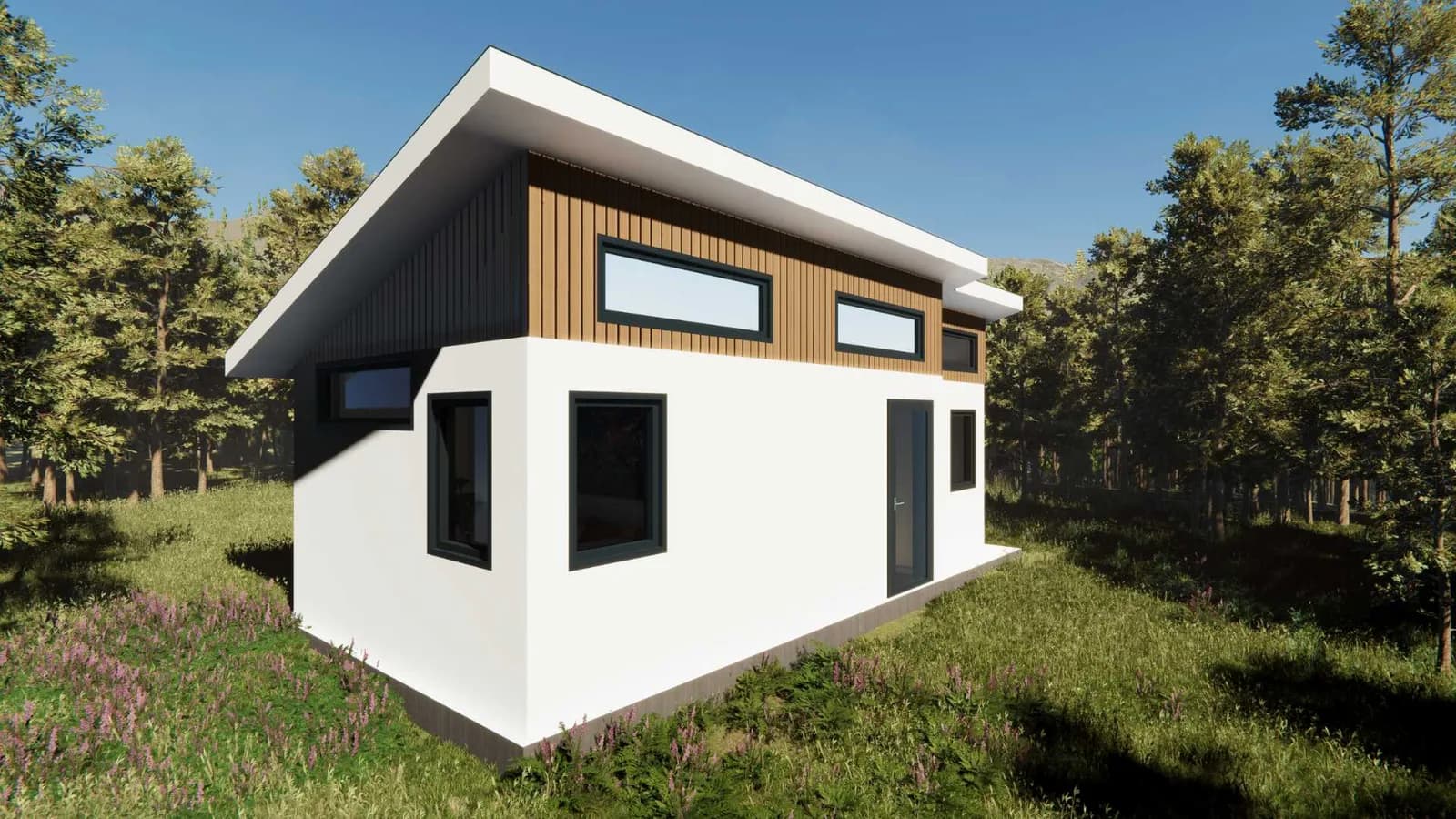ADU plan for garage conversion (exterior)