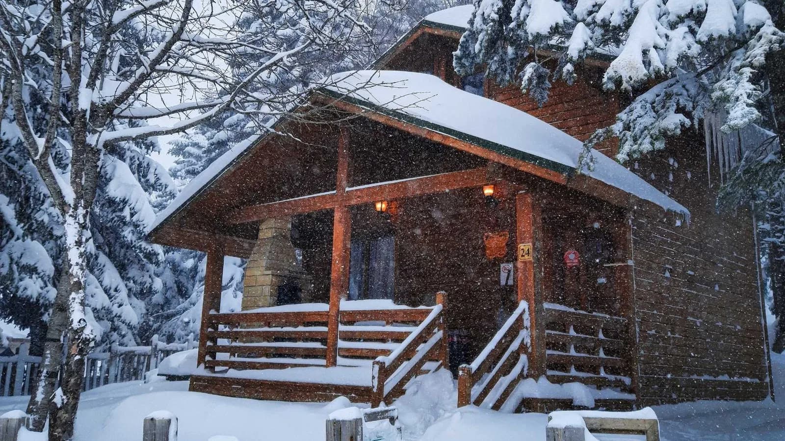 Backyard cabin ideas for winter