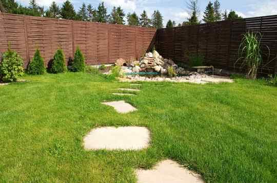 backyard pond