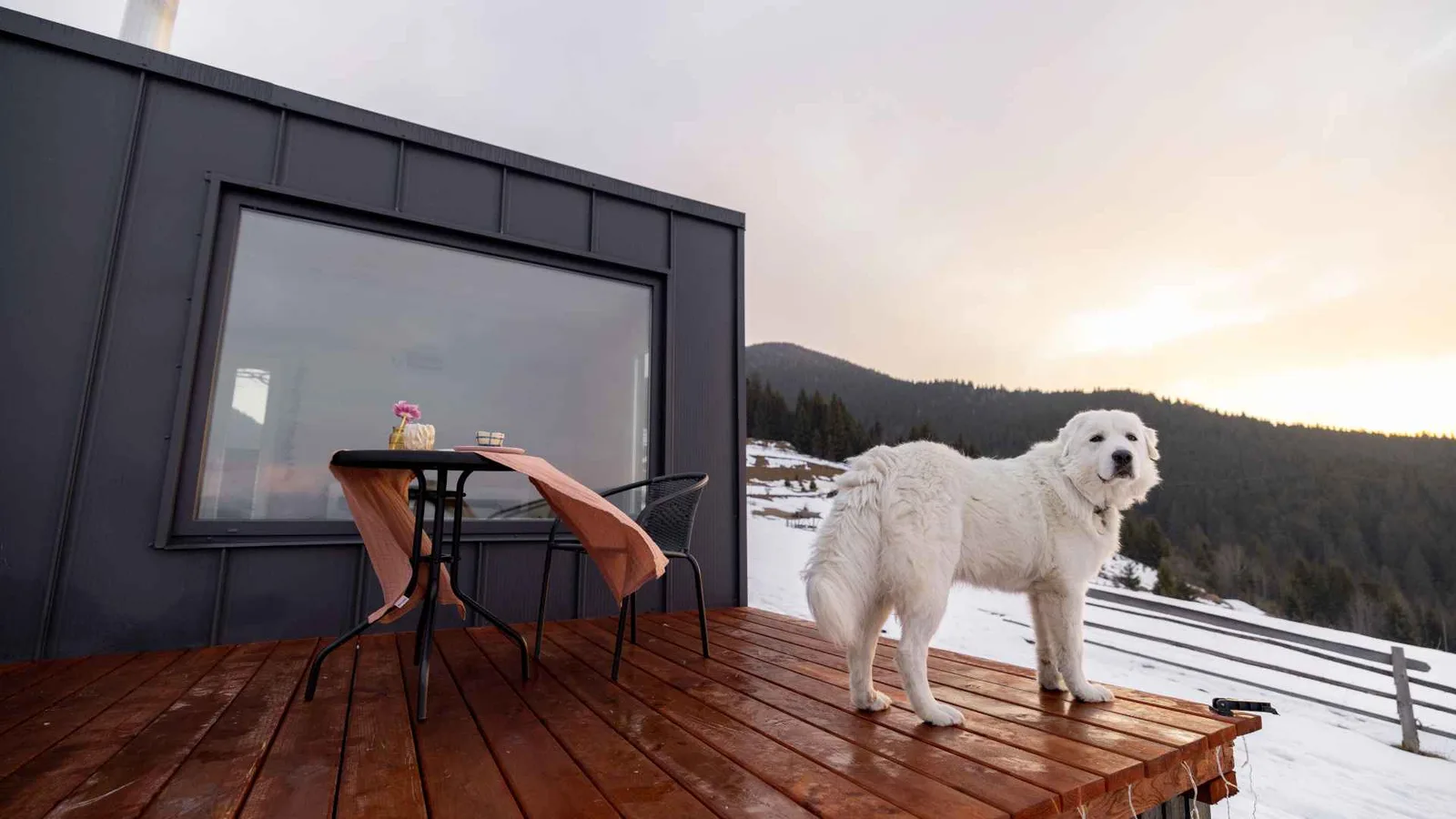 black tiny home with deck