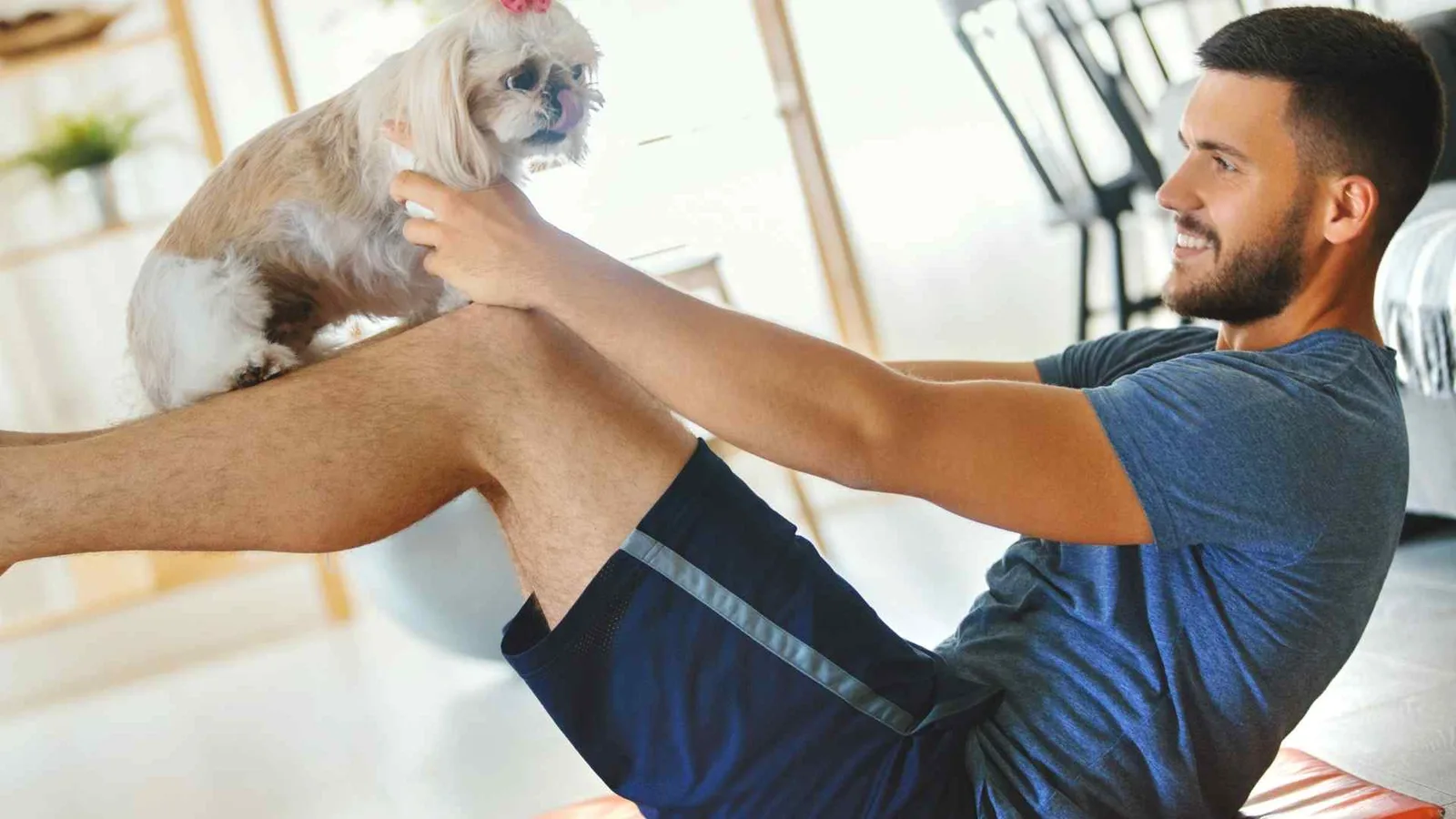 gym shed exercise with dog