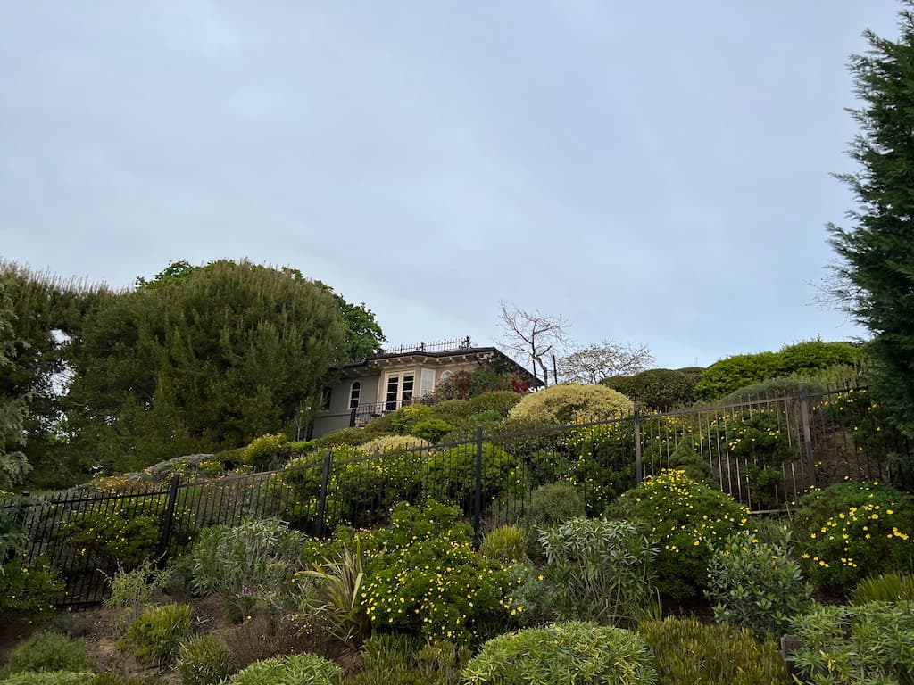 back yard shed on a hill