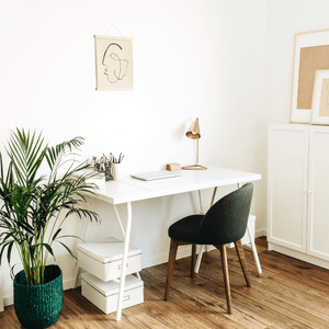 Modern shed used as a backyard office