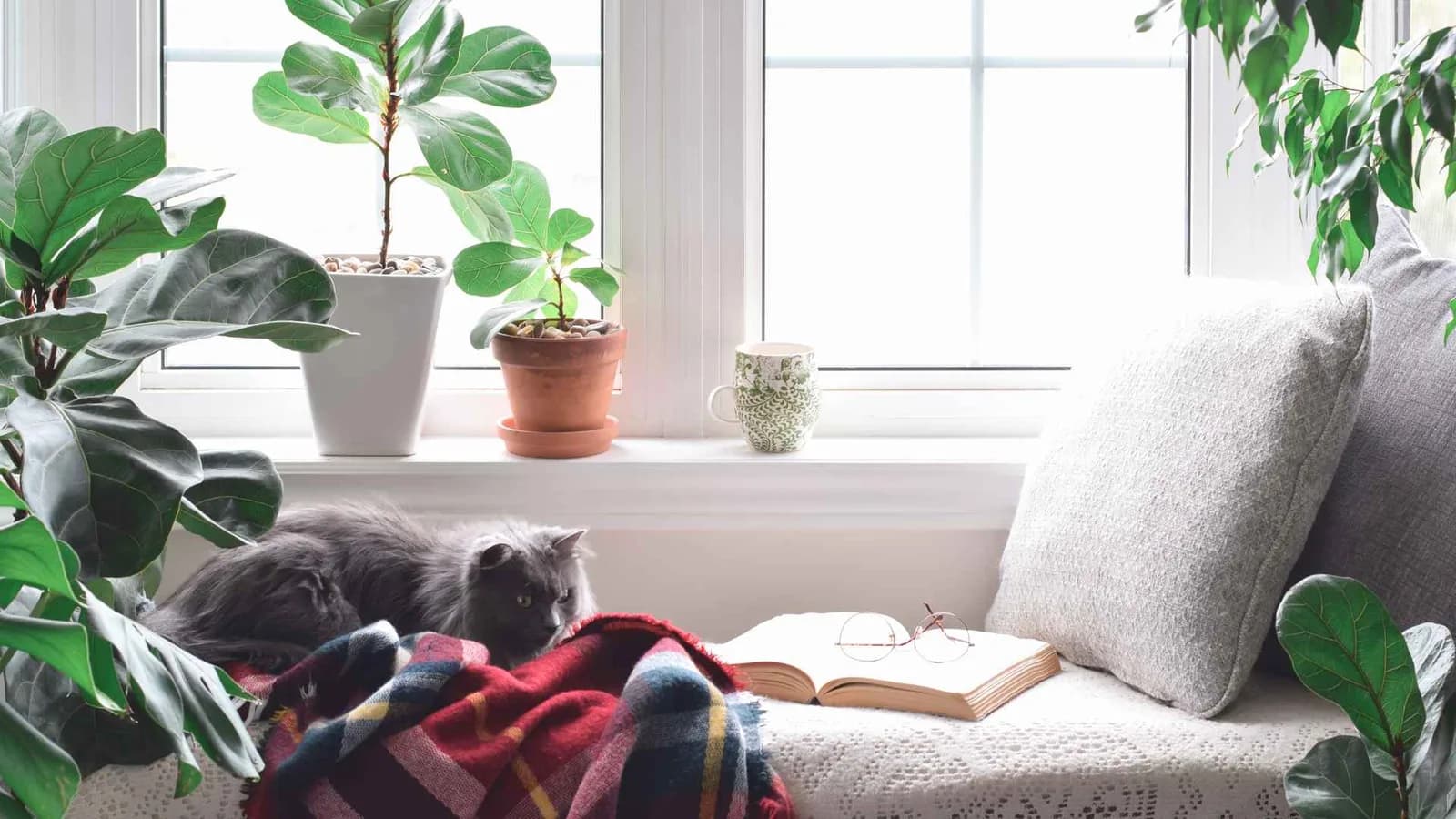 sitting nook by window