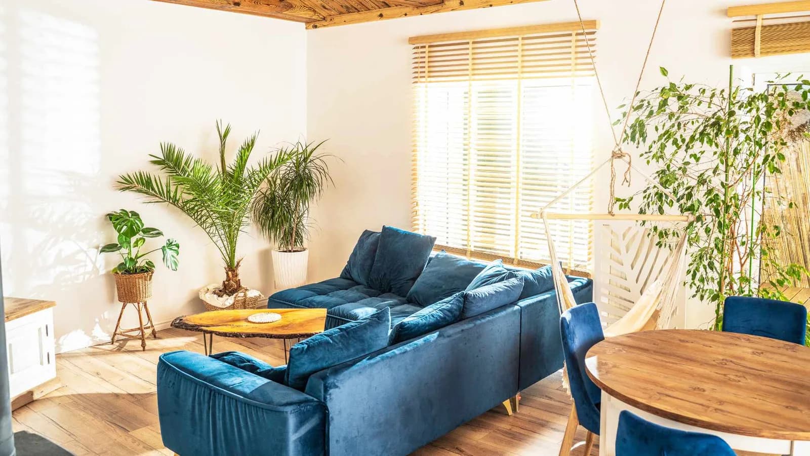 Small living room in tiny house