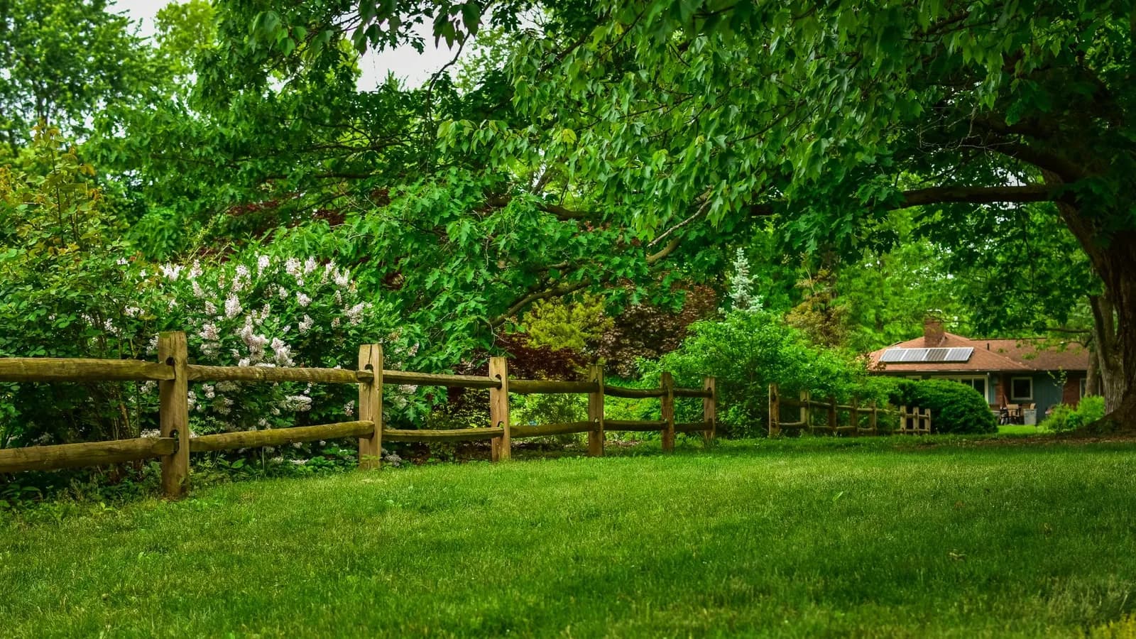 why privacy fencing is important for any outdoor space